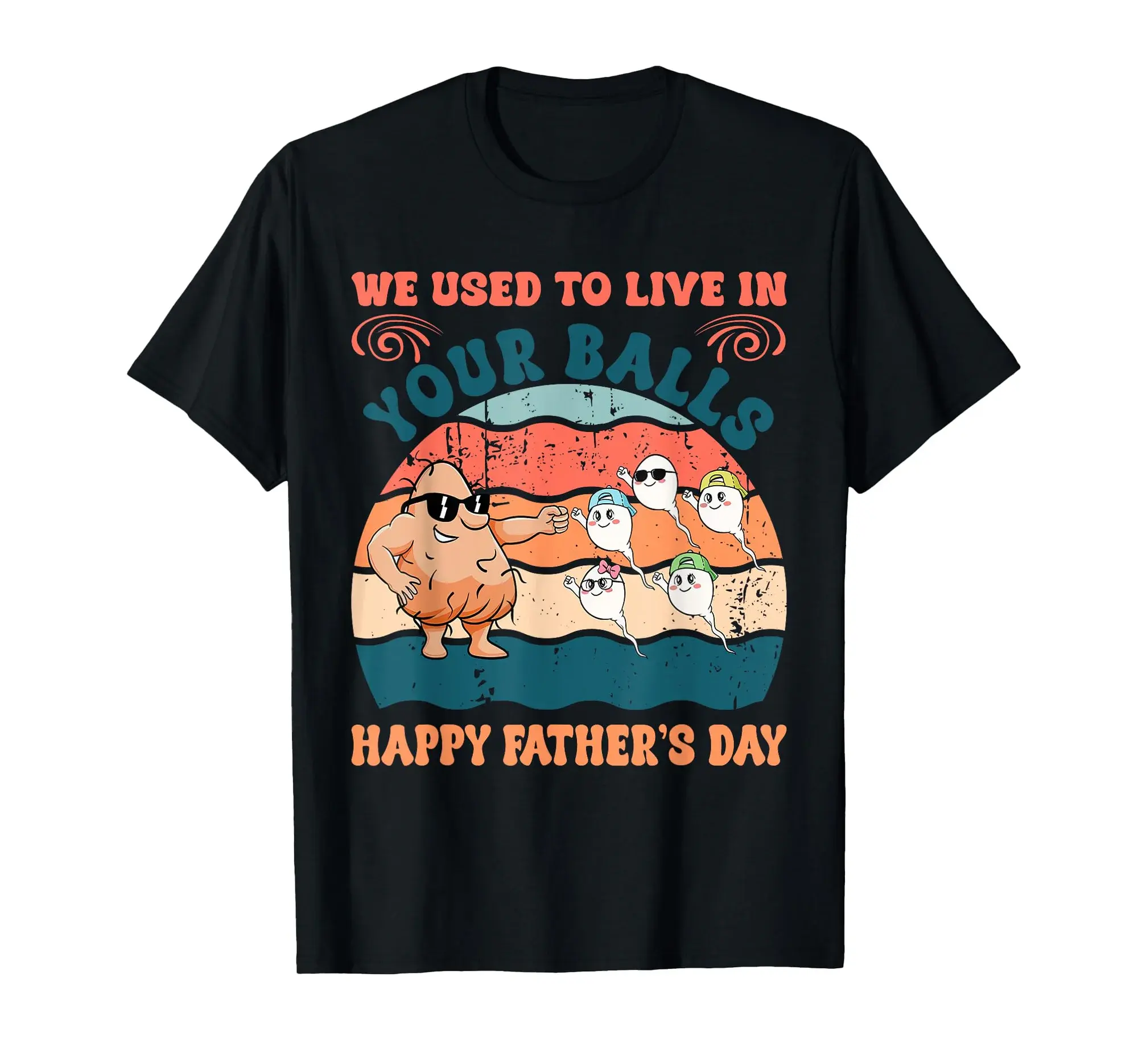 We Used To Live In Your Balls Happy Fathers Day Gift For Dad T-Shirt